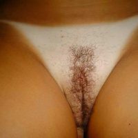 hairy pussy tanned panties skin