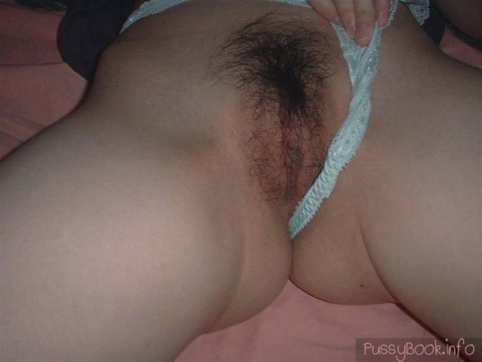 hairy asian vulva panties removed