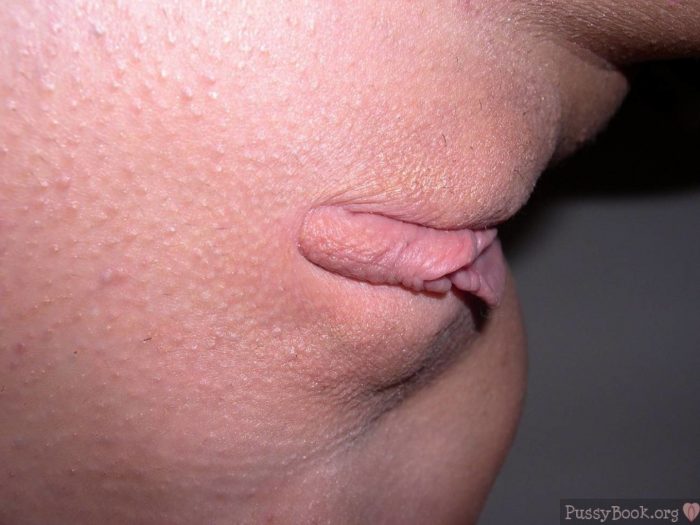 Shaved Pink Vulva Close-Up with Twisted Labia