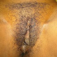 Brown Trimmed African Vulva Up Close
