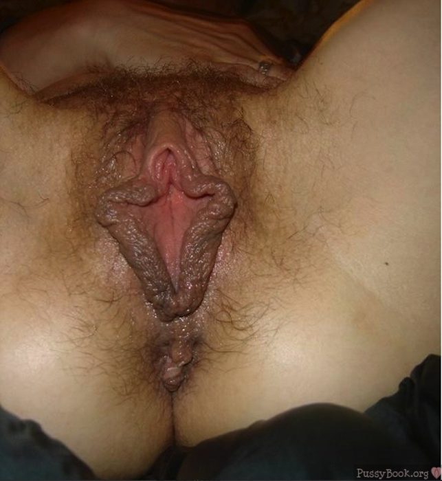 Thick Inner Labia Pussy