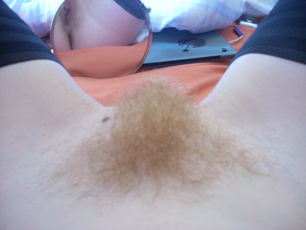 Blonde Pubes Pics