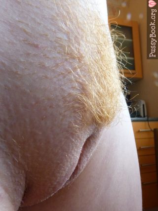 Close-Up Vulva Shaved Labia Blonde Pubes