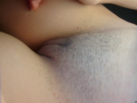 european-pussy-trimmed-big-vulva