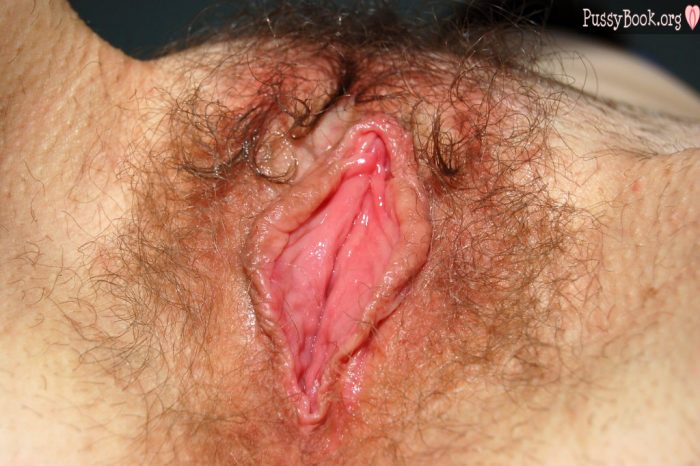 extended-vagina-hairy-crotch-700x466.