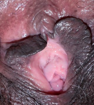 Black Pussy Close Up Hd - extreme close-up black vagina hole Nude Girls Pictures
