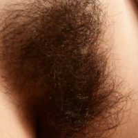 extremely-hairy-vagina-big-bush