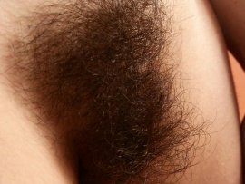 Extremely Hairy Bush