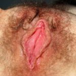 Flawless Hairy Wet Pink Vagina Close-Up