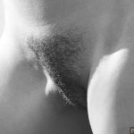 French Hairy Pussy Lips Blank and White Photo