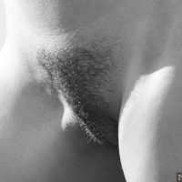 french-hairy-pussy-lips-blank-and-white-photo