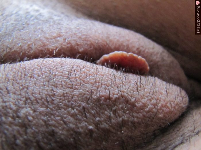 my-wife-pussy-vulva-close-up