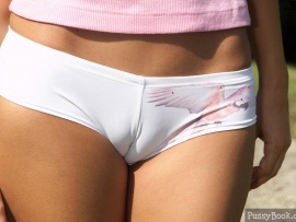 panties-cameltoe-big