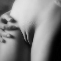 show-the-pussy-lips-art-black-and-white