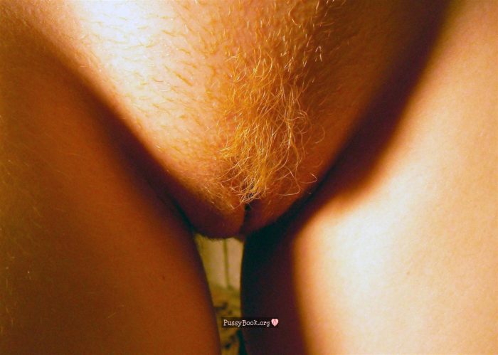 swedish-hairy-pussy