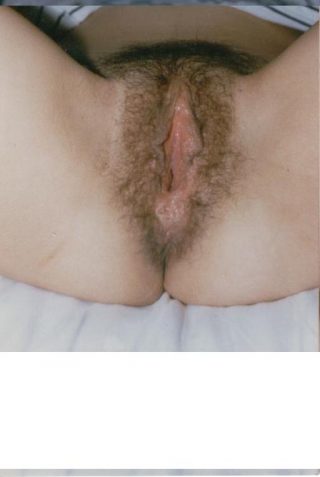the-pussy-lips-are-open-and-hairy