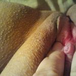 vagina clitoris