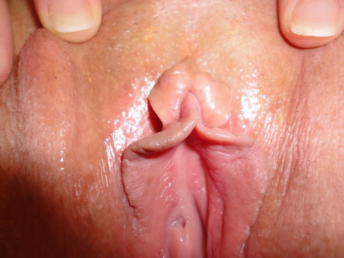 vagina spreading close up clit