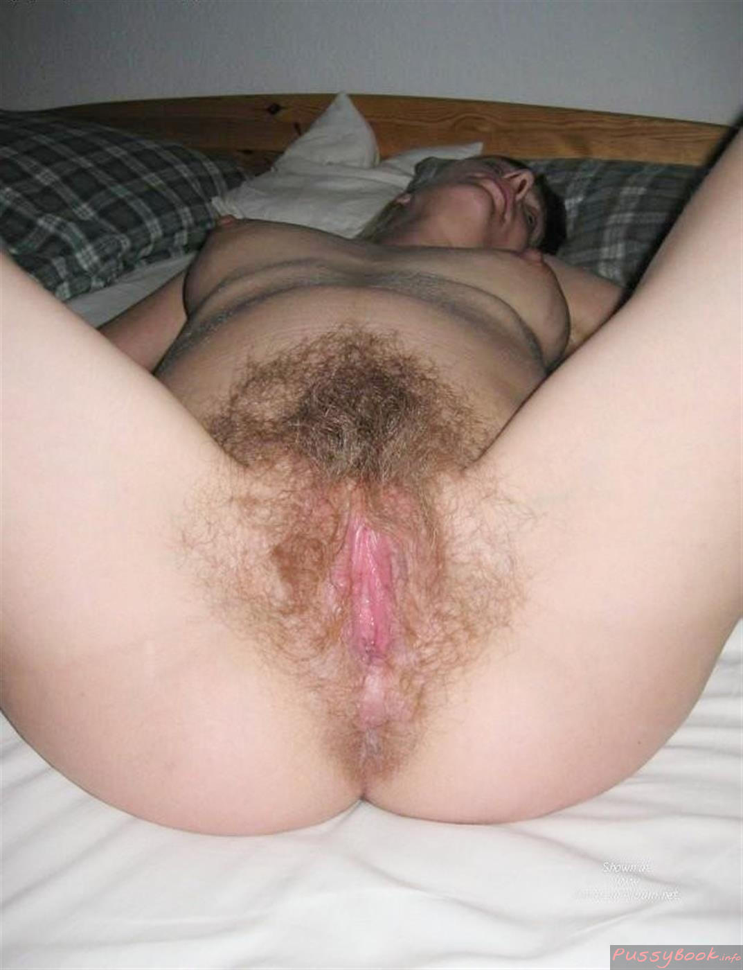 Hairy Blonde Pussy Photos