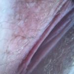 vulva lips close up