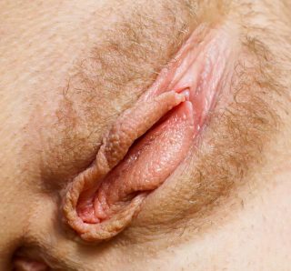 vulva open labias close up photo png