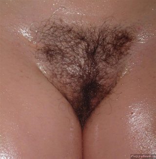 wet hairy bush cunt